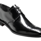 Darlington - Black Hi-Shine Darlington - Black Hi-Shine