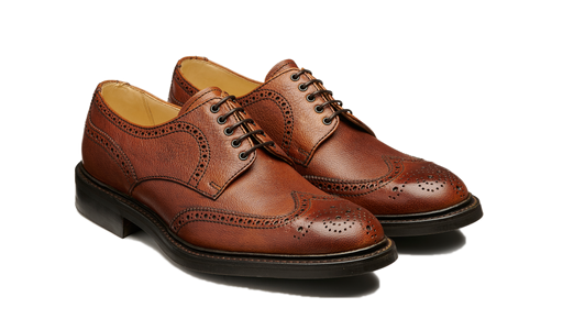 Faxton - Pegasus Pull Up