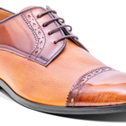 Ashbourne - Etam / Cedar Grain