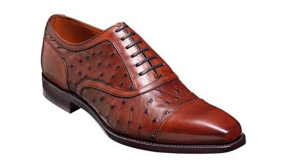 Puccini - Brown Calf / Ostrich