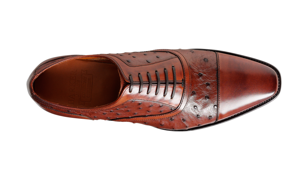 Puccini - Brown Calf / Ostrich