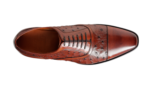 Puccini - Brown Calf / Ostrich